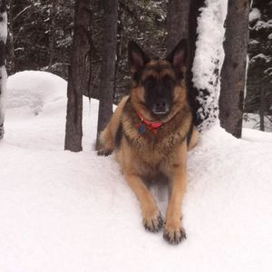 Meet your Posher, Connie